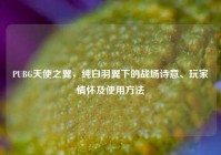 PUBG天使之翼，纯白羽翼下的战场诗意、玩家情怀及使用方法