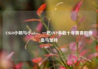 CSGO小明与小niko，一把AWP承载十年青春的热血与坚持