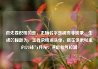 首先要说明的是，正确名字是澜而非斓哦，生成的标题为，王者荣耀澜头像，藏在像素帧里的刀锋与月光，满屏帅气拉满