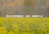 我的王者荣耀周记，峡谷一周趣事小记