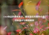 CSGO饰品的破损美学，磨损背后的独特价值、玩家情怀与规则解析