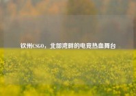 钦州CSGO，北部湾畔的电竞热血舞台
