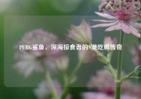 PUBG鲨鱼，深海掠食者的N港吃鸡传奇