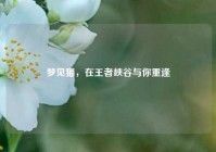 梦见猫，在王者峡谷与你重逢