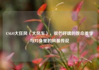 CSGO大狂风（大风车），银芒呼啸的致命美学与刀身里的风暴传说