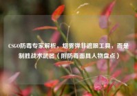 CSGO防毒专家解析，烟雾弹非遮眼工具，而是制胜战术武器（附防毒面具人物盘点）