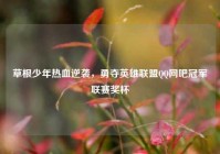 草根少年热血逆袭，勇夺英雄联盟QQ网吧冠军联赛奖杯