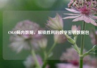 CSGO局内数据，解锁胜利的数字密钥数据包