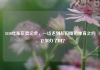 2020年东京奥运会，一场迟到却闪耀的体育之约，它举办了吗？