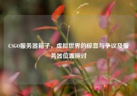 CSGO服务器箱子，虚拟世界的惊喜与争议及服务器位置探讨