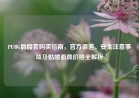 PUBG骷髅套购买指南，官方渠道、安全注意事项及骷髅面具价格全解析