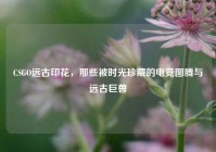 CSGO远古印花，那些被时光珍藏的电竞图腾与远古巨兽