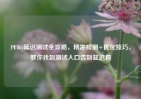 PUBG延迟测试全攻略，精准检测+优化技巧，教你找到测试入口告别延迟狗