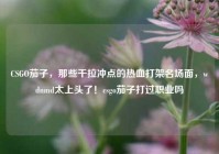 CSGO茄子，那些干拉冲点的热血打架名场面，wdnmd太上头了！csgo茄子打过职业吗