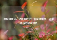 球探网比分，足球即时比分的实时纽带，让赛场动态触手可及