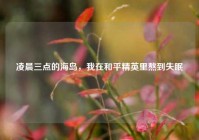 凌晨三点的海岛，我在和平精英里熬到失眠
