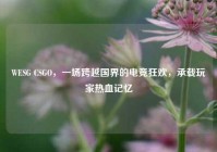 WESG CSGO，一场跨越国界的电竞狂欢，承载玩家热血记忆