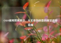CSGO视频剪辑黑边，从无奈到创意的视觉进阶指南