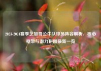 2023-2024赛季芝加哥公牛队球员阵容解析，核心框架与潜力拼图最新一览