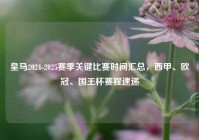 皇马2024-2025赛季关键比赛时间汇总，西甲、欧冠、国王杯赛程速递