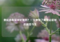 奥运会有篮球比赛吗？一文带你了解奥运篮球的前世今生