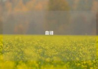 血锋