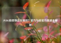 PUBG拍卖物品在哪找？官方与非官方渠道全解析