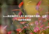 Steam商店偏好怎么关？超详细操作指南，小白也能轻松搞定