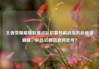 王者荣耀星耀联盟战队招募并肩战友共赴峡谷巅峰，队伍招募信息何处寻？