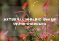 王者荣耀寂灭之心称号怎么获得？揭秘王者峡谷里冰封理性的勋章获取途径