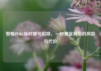 警惕PUBG临时黑号陷阱，一时便宜背后的风险与代价