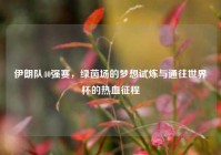 伊朗队40强赛，绿茵场的梦想试炼与通往世界杯的热血征程