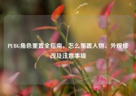 PUBG角色重置全指南，怎么重置人物、外观修改及注意事项