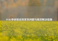 PUBG申诉验证码常见问题与高效解决指南