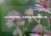 PUBG训练营靶场，从萌新到大神的必经之路
