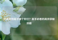 逆战宠物箱子哪个好打？新手必看的高效获取攻略