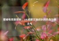 蓉城电竞新地标，LOL成都主场战队的热血与烟火气