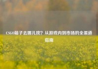 CSGO箱子去哪儿找？从游戏内到市场的全渠道指南