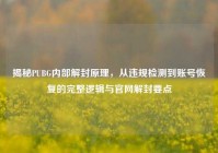 揭秘PUBG内部解封原理，从违规检测到账号恢复的完整逻辑与官网解封要点