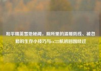 和平精英雪地秘闻，厕所里的温暖防线、被忽略的生存小技巧与ca722航班回国经过