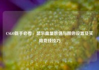 CSGO新手必看，显示血量数值与颜色设置及实用竞技技巧