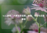 Steam游戏二次激活全指南，原因、方法与注意事项