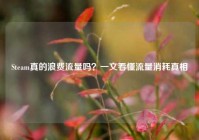 Steam真的浪费流量吗？一文看懂流量消耗真相