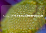 Skindog，CSGO世界里的皮肤爱好者与竞技先锋