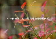 Steam低价区，省钱的诱惑与隐藏的风险