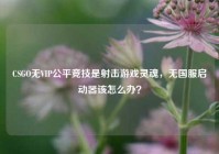 CSGO无VIP公平竞技是射击游戏灵魂，无国服启动器该怎么办？