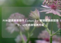 PUBG超清画质助手（pubgmc），解锁战场极致细节，让吃鸡体验再升级