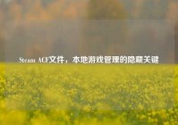 Steam ACF文件，本地游戏管理的隐藏关键