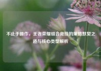 不止于操作，王者荣耀组合竞技的策略默契之道与核心类型解析