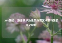 CSGO强盗，游走战术边缘的突袭艺术家与强起含义解析